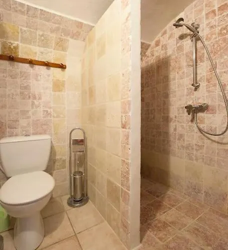 Ferienhaus Grand De Caractere 25 Personnes Piscine *