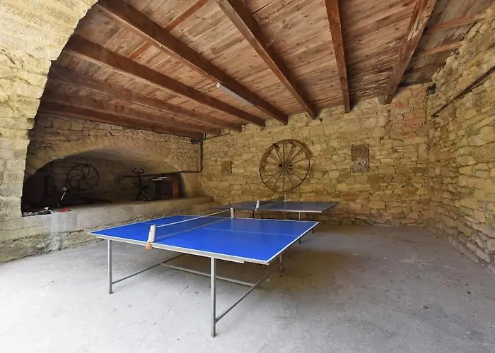 Grand De Caractere 25 Personnes Piscine * Ners